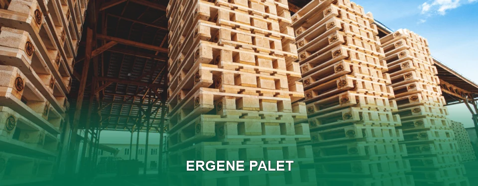 Ergene Palet